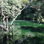 2021年10月　　　　　　　　日本名水百選・出流原弁天池湧水　