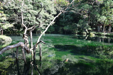 2021年10月　　　　　　　　日本名水百選・出流原弁天池湧水　