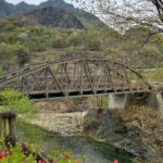 2022年5月　「新緑の芽吹きに生命力　日光市足尾町」