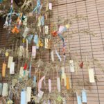 2022年7月　「短冊に託した願い天まで届け」