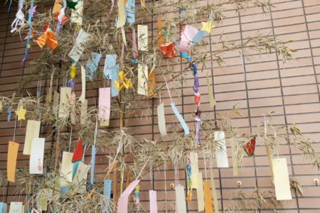 2022年7月　「短冊に託した願い天まで届け」