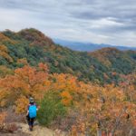 2022年11月　「紅葉に囲まれた道をハイキング」